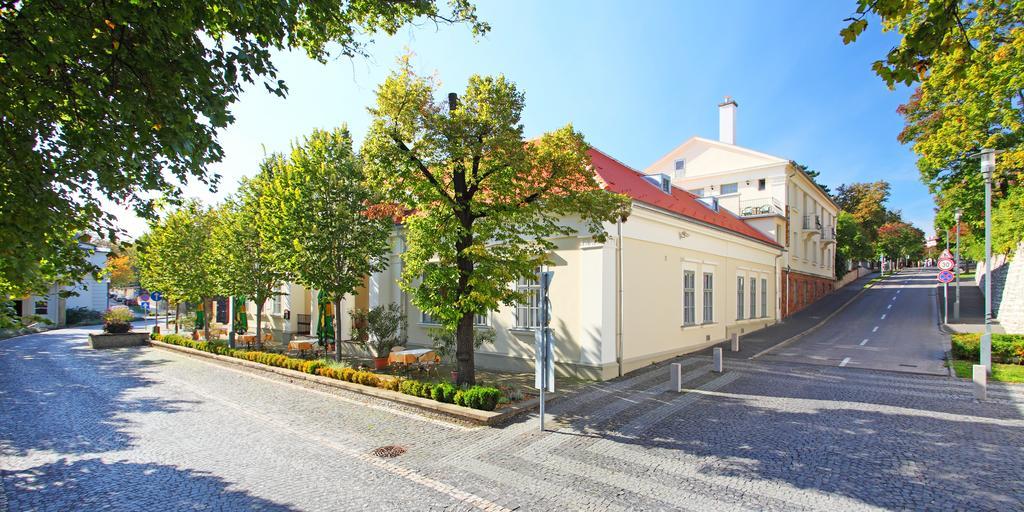 Hotel Blaha Lujza バラトンフレド エクステリア 写真
